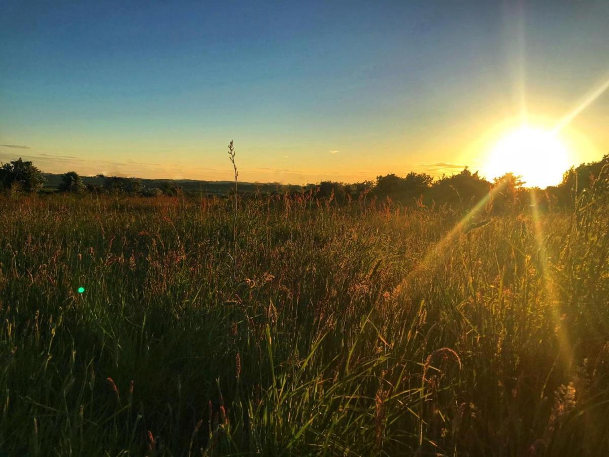 Willow Glamping Hut With Hot Tub, Ensuite, Bbq, Firepit, Views, Fenced Garden, Dog Friendly, Alpacas On Site On Anglesey, North Wales Amlwch Exterior photo